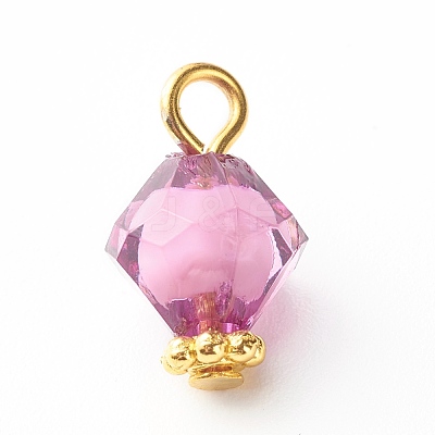 Transparent Acrylic Charms PALLOY-JF00877-1