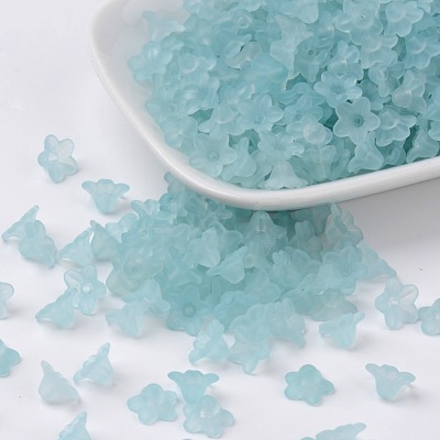 Transparent Acrylic Beads X-PL554-11-1