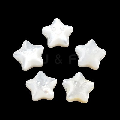 Natural White Shell Beads SHEL-M020-02A-1