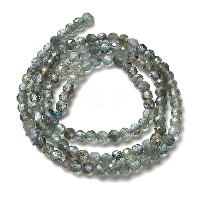 Natural Apatite Beads Strands G-RM2025-A23-3mm-1
