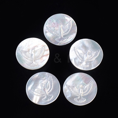 Natural White Shell Cabochons SSHEL-D083-09-1