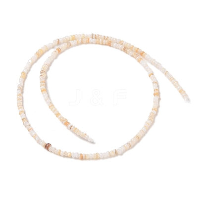 Natural Freshwater Shell Beads Strands SHEL-P017-01A-10-1