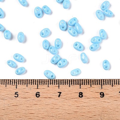 Baking Paint Glass Seed Beads SEED-T006-03I-1