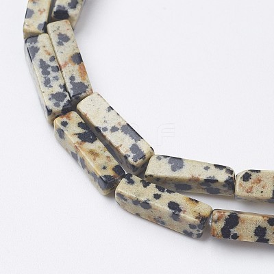 Natural Dalmatian Jasper Beads Strands X-G-G968-D10-1