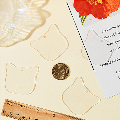 50Pcs Transparent Acrylic Disc Big Pendants ZXFQ-SC0001-01B-1