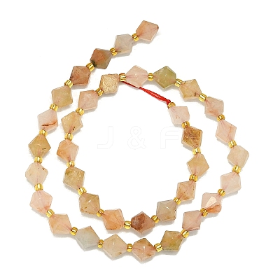 Natural Gemstone Beads Strands G-I376-B21-01-1