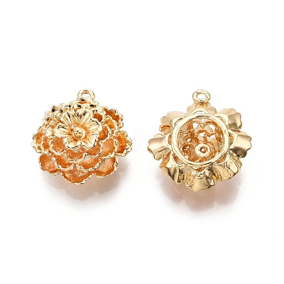 Brass Pendants KK-G436-08G-1