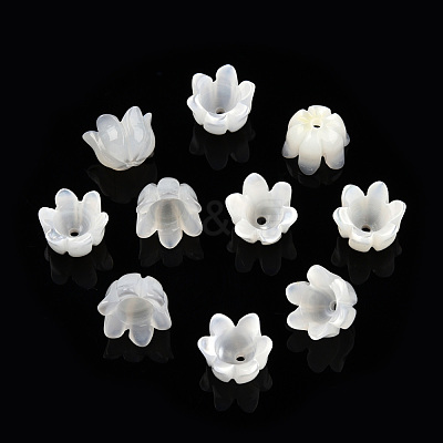 Natural White Shell Bead Caps SSHEL-N032-58A-1