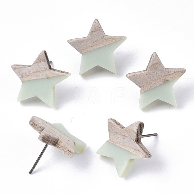 Resin & Wood Stud Earrings EJEW-N017-001A-C03-1