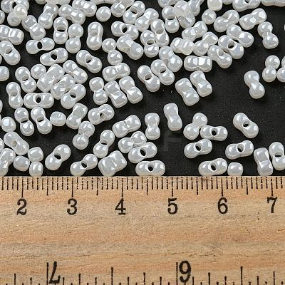 Glass Seed Beads SEED-K009-02B-24-1