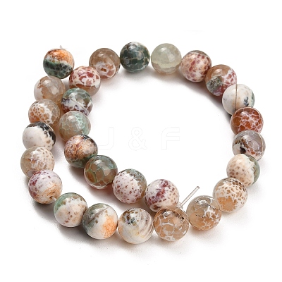 Natural Fire Crackle Agate(Dyed & Heated) Beads Strands G-K425-A03-14mm-1