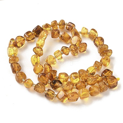 Natural Amber Beads Strands G-L095-E01-07-1