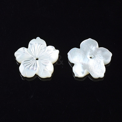 Natural White Shell Mother of Pearl Shell Beads SSHEL-T014-42C-1