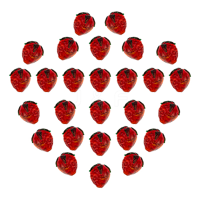 30Pcs Handmade Lampwork Beads LAMP-PH0001-51-1