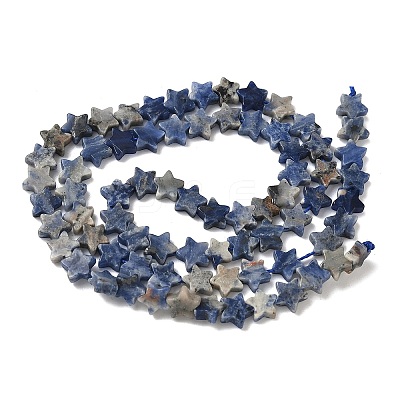 Natural Sodalite Beads Strands G-F817-A08-01-1