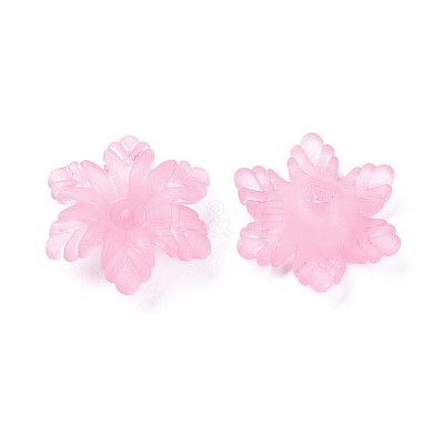 Transparent Acrylic Beads MACR-S373-117-D12-1