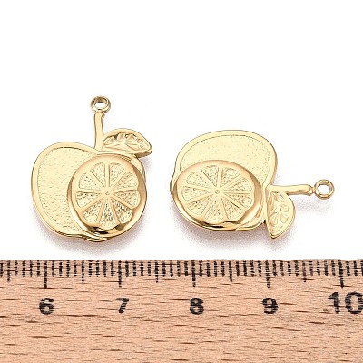 304 Stainless Steel Pendants STAS-T065-73G-1
