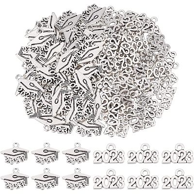 120Pcs 2 Style Tibetan Style Alloy Charms FIND-CA0006-06-1