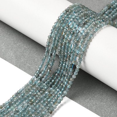 Natural Apatite Beads Strands G-C137-A01-01-1