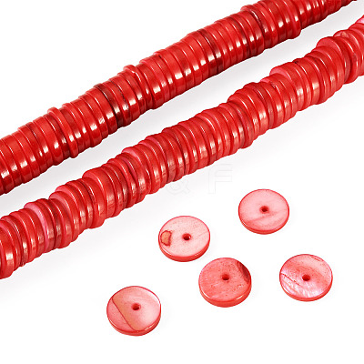 1 Strand Natural Freshwater Shell Beads Strands SHEL-TA0001-35C-1