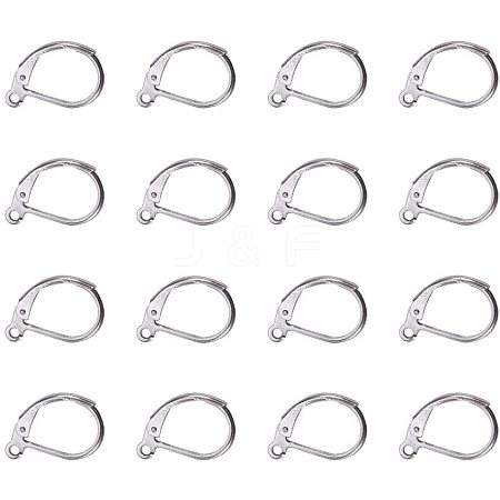 304 Stainless Steel Leverback Earring Findings STAS-PH0018-28P-1