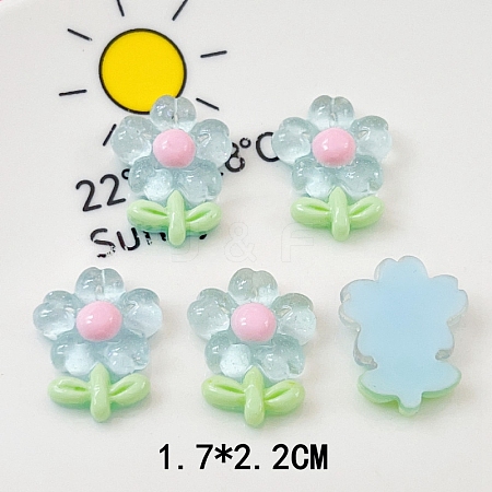 Translucent Resin Decoden Cabochons LS-PW-WG80860-01-1