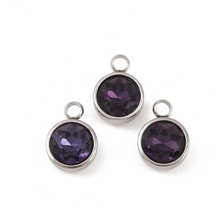 Glass Rhinestone Charms STAS-G082-14-1