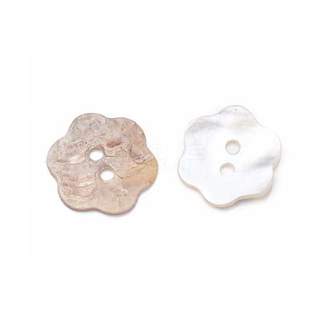 2-Hole Shell Buttons BUTT-D055-01-1