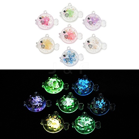 Transparent Luminous Acrylic Pendants TACR-Z002-02-1