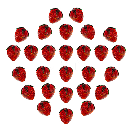 30Pcs Handmade Lampwork Beads LAMP-PH0001-51-1