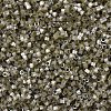 MIYUKI Delica Beads SEED-MY11-DB1876-3