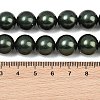 Electroplated Shell Pearl Graduated Beads Strands BSHE-C011-04-02-3