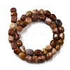 Natural Petrified Wood Beads Strands G-L621-C11-01-3
