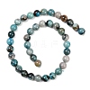 Natural Chrysocolla Beads Strands G-K405-B01-10mm-4