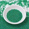 MIYUKI Delica Beads SEED-MY11-DB0858-2