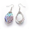 Abalone Shell/Paua Shell Teardrop with Tree of Life Dangle Earrings EJEW-SZ0001-65B-1