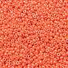 MIYUKI Round Rocailles Beads SEED-X0055-RR0424-3