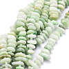 Natural Myanmar Jade/Burmese Jade Beads Strands G-E569-J14-1