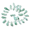 Electroplated Natural Quartz Crystal Beads Strands G-G890-A-12-2