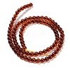 Natural Amber Beads Strands G-Z100-A02-5mm-02-3