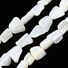 Natural Trochid Shell/Trochus Shell Beads Strands SSHEL-S266-006-1