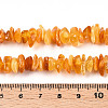 Natural Amber Beads Strands G-T138-235B-4