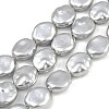 Electroplated Glass Beads Strands GLAA-H039-05B-1