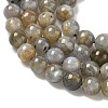 Natural Labradorite Beads Strands G-U017-6mm-01-A-4