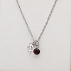 304 Stainless Steel Coffee Rhinestone Birth Stone Constellation Pendant Necklaces FS-WG76580-14-1