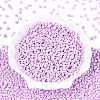 Baking Paint Glass Seed Beads SEED-N007-30J-2