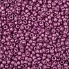 TOHO Round Seed Beads X-SEED-TR08-0563F-2