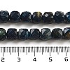 Natural Tiger Eye Dyed Beads Strands G-H028-A01-03-5