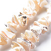 Natural Trochid Shell/Trochus Shell Bead Strands SSHEL-N034-105-B01-1