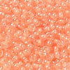 Glass Seed Beads SEED-H002-L-A235-3